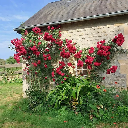 Bed and breakfast Ferme De La Houlotte